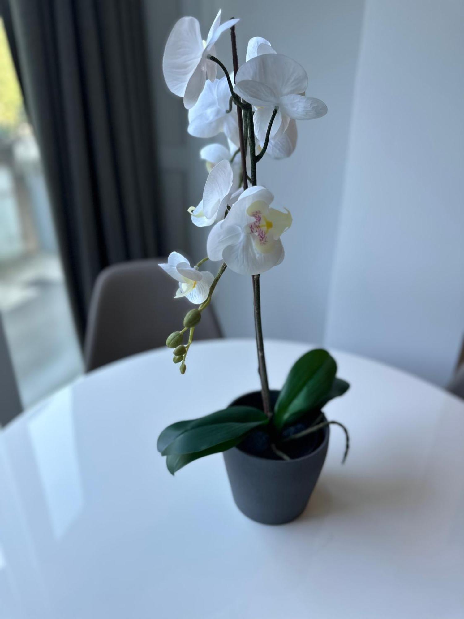 N&G New Apartment Stoja Beach Пула Екстериор снимка